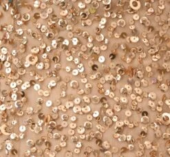 Adrianna Papell Scoop Back Sequin Gown In Champagne Gold -Adrianna Papell Shop 091874600 AD298 Regular Alternate