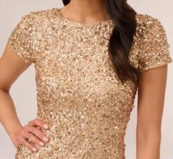 Adrianna Papell Scoop Back Sequin Gown In Champagne Gold -Adrianna Papell Shop 091874600 AD298 Regular Detail