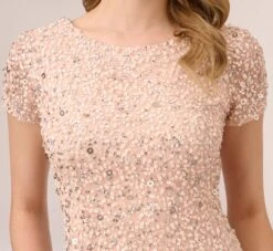 Adrianna Papell Scoop Back Sequin Gown In Blush 10 Adrianna Papell Scoop Back Sequin Gown In Blush -Adrianna Papell Shop 091874600 BLS Regular Detail