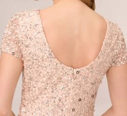Adrianna Papell Scoop Back Sequin Gown In Blush 12 Adrianna Papell Scoop Back Sequin Gown In Blush -Adrianna Papell Shop 091874600 BLS Regular Lifestyle