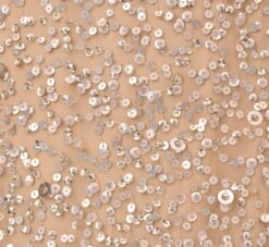 Adrianna Papell Plus Size Scoop Back Sequin Gown In Champagne -Adrianna Papell Shop 091874601 CHA Plus Alternate