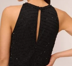 Adrianna Papell Art Deco Beaded Blouson Dress With Halter Neckline In Black Black 12 Adrianna Papell Art Deco Beaded Blouson Dress With Halter Neckline In Black Black -Adrianna Papell Shop 191914100 BD002 Regular Lifestyle