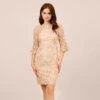 Adrianna Papell Metallic Embroidered Sheath Dress In Blush -Adrianna Papell Shop AP1D104511 AD684 Regular Default