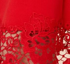 Adrianna Papell Stretch Knit Crepe Midi-Length Fit-And-Flare Dress With Lace Trim In Cherry Bliss -Adrianna Papell Shop AP1D104683 AJ612 Regular Alternate