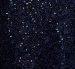 Adrianna Papell Plus Size Sequined Guipure Lace Popover Stretch Knit Crepe Short Sheath Dress In Navy -Adrianna Papell Shop AP1D104957 AC412 Plus Alternate