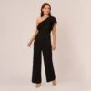 Adrianna Papell One Shoulder Crepe Jumpsuit With Lace Ruffle Details In Black