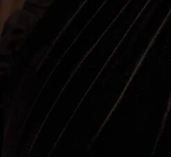 Adrianna Papell Mock Neck Velvet Dress With Sheer Short Sleeves In Black -Adrianna Papell Shop AP1D105096 AA002 Regular Alternate