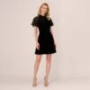Adrianna Papell Mock Neck Velvet Dress With Sheer Short Sleeves In Black