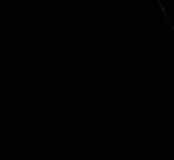 Adrianna Papell Short Sleeve Velvet Pleated Midi Dress In Black 12 Adrianna Papell Short Sleeve Velvet Pleated Midi Dress In Black -Adrianna Papell Shop AP1D105134 AA002 Regular Alternate