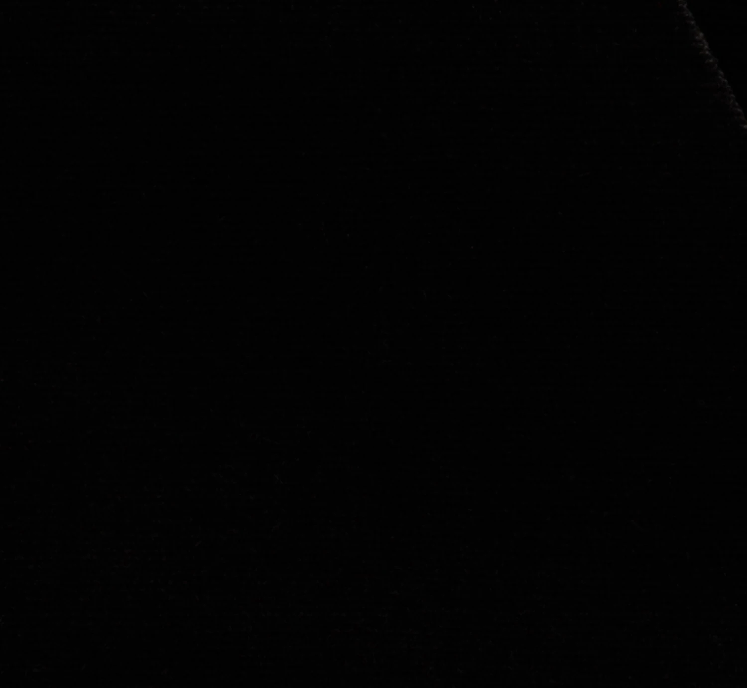 Adrianna Papell Short Sleeve Velvet Pleated Midi Dress In Black 7 Adrianna Papell Short Sleeve Velvet Pleated Midi Dress In Black - Image 5