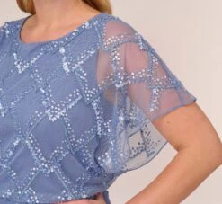 Adrianna Papell Plus Size Hand-Beaded Blouson Long Gown With Flutter Sleeves In French Blue -Adrianna Papell Shop AP1E209547 AA544 Plus Lifestyle