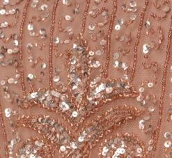 Adrianna Papell Plus Size Fleur Beaded Blouson Gown With Sheer Short Sleeves In Rose Gold 13 Adrianna Papell Plus Size Fleur Beaded Blouson Gown With Sheer Short Sleeves In Rose Gold -Adrianna Papell Shop AP1E209812 AA958 Plus Alternate