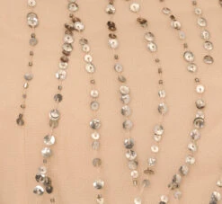 Adrianna Papell Hand-Beaded Blouson Long Gown In Nude 13 Adrianna Papell Hand-Beaded Blouson Long Gown In Nude -Adrianna Papell Shop AP1E210157 AB267 Regular Alternate