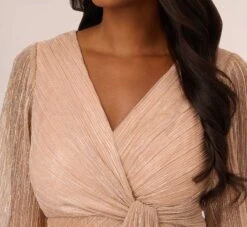 Adrianna Papell Metallic Crinkled Mesh Draped Long Gown In Light Gold -Adrianna Papell Shop AP1E210265 AA267 Regular Detail