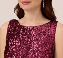Adrianna Papell Ombre Sequin Sleeveless Sheath Dress With V-Back In Cassis -Adrianna Papell Shop AP1E210626 AC507 Regular Lifestyle
