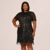 Adrianna Papell Plus Size Beaded Fringe Dress With Sheer Short Sleeves In Black 2 Adrianna Papell Plus Size Beaded Fringe Dress With Sheer Short Sleeves In Black -Adrianna Papell Shop AP1E211010 AA002 Plus Default